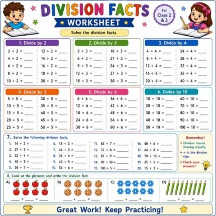 Division Facts Worksheet for Class 2 & 3