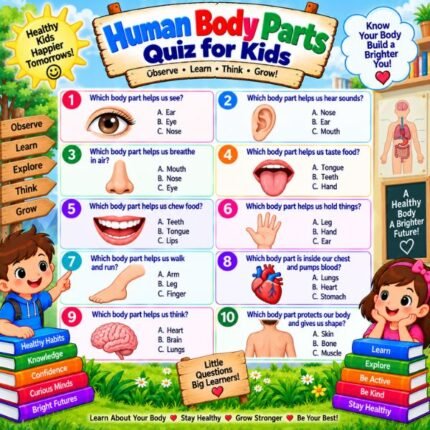 Human Body Parts Quiz